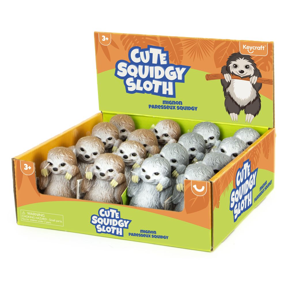 Cute Squidgy Sloth