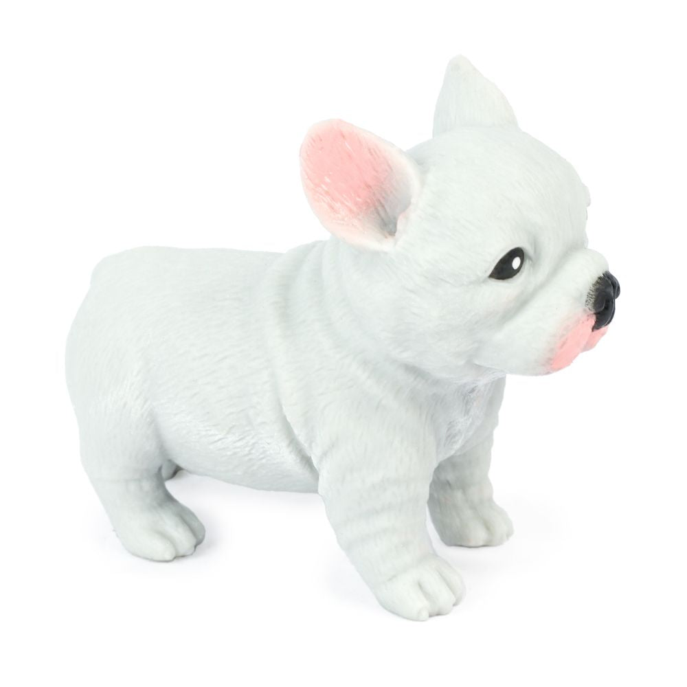 Cute Squidgy French Bulldog