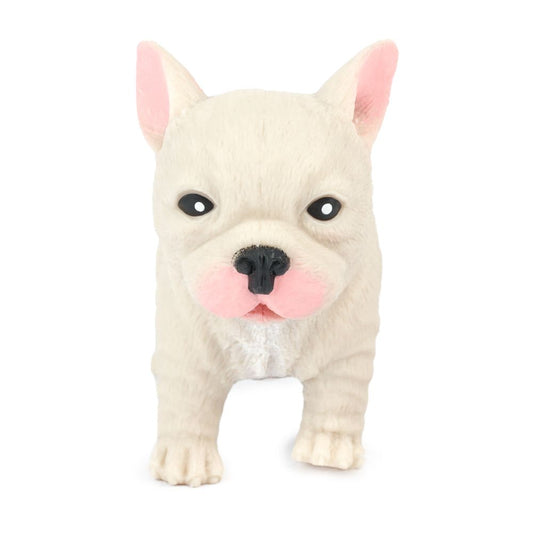 Cute Squidgy French Bulldog