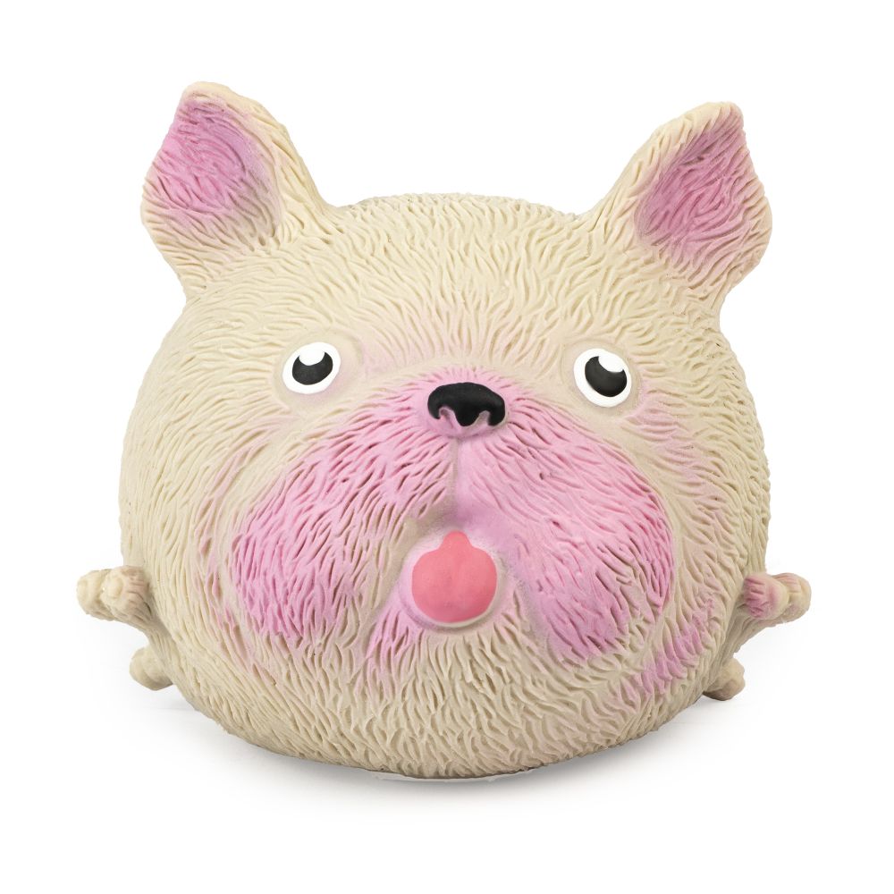Squidgy Pooch Sensory Toy