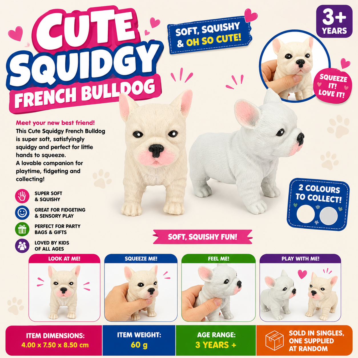 Cute Squidgy French Bulldog
