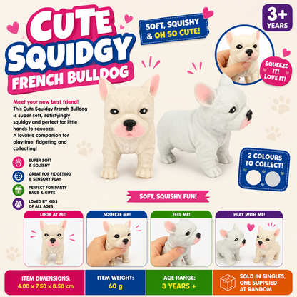 Cute Squidgy French Bulldog