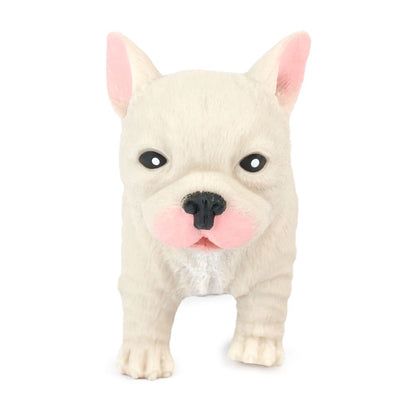 Cute Squidgy French Bulldog
