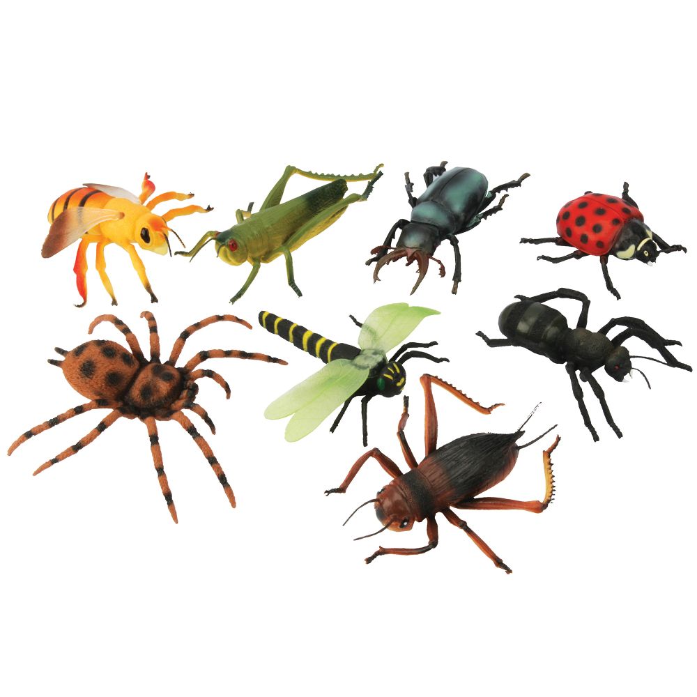 Giant Insects